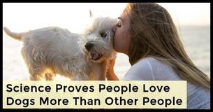 New Study Proves That People Love Dogs More Than Other People New Study Proves That People Love Dogs More Than Other People