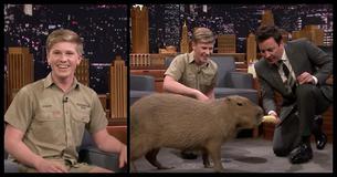Robert Irwin Is Exactly Like His Dad Steve Irwin Robert Irwin Is Exactly Like His Dad Steve Irwin