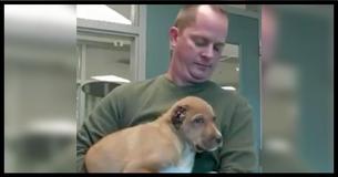 Couple Finds Puppy With No Ears Crying On Doorstep And There’s A $5K Reward To Find The Monster Couple Finds Puppy With No Ears Crying On Doorstep And There’s A $5K Reward To Find The Monster