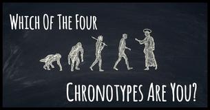 Which Of The Four Chronotypes Are You? Which Of The Four Chronotypes Are You?