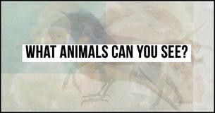 The First Animal You See In This Photo Can Reveal What Kind Of Person You Are The First Animal You See In This Photo Can Reveal What Kind Of Person You Are