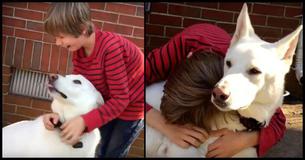 A Boy And His Dog Are Reunited After A Year Apart, Both Start Crying Instantly A Boy And His Dog Are Reunited After A Year Apart, Both Start Crying Instantly