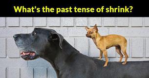 98% Of Americans Can’t Pass This Basic Tenses Test 98% Of Americans Can’t Pass This Basic Tenses Test