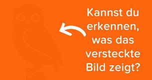 Nur Introvertierte können diese versteckten Bilder sehen, denn sie haben eine einzigartige Beobachtungsgabe Nur Introvertierte können diese versteckten Bilder sehen, denn sie haben eine einzigartige Beobachtungsgabe