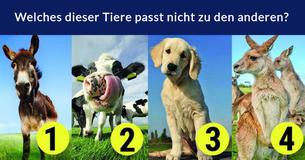 Erreichst Du das perfekte Ergebnis in diesem Quiz, dann bist Du klüger als der Durchschnitt Erreichst Du das perfekte Ergebnis in diesem Quiz, dann bist Du klüger als der Durchschnitt