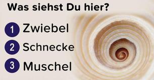Kannst Du erkennen was dieses Objekt ist, basierend auf dem Aussehen unter dem Mikroskop? Kannst Du erkennen was dieses Objekt ist, basierend auf dem Aussehen unter dem Mikroskop?