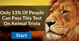 Only 13% Of The Population Can Pass This Tricky Animal Trivia Only 13% Of The Population Can Pass This Tricky Animal Trivia