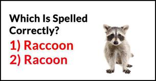 This Spelling Test Is Driving The Internet Wild This Spelling Test Is Driving The Internet Wild