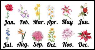 This Is What Your Floral Zodiac Reveals About Who You Truly Are This Is What Your Floral Zodiac Reveals About Who You Truly Are