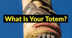 What Is Your Totem? What Is Your Totem?