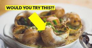 Would You Try These Local Delicacies From Around The World? Would You Try These Local Delicacies From Around The World?
