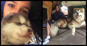 Woman Receives A Super Cute Puppy 1 Year Later She Realizes What She Had Done Woman Receives A Super Cute Puppy 1 Year Later She Realizes What She Had Done