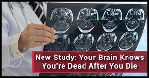 Terrifying Study Reveals Our Brains Are Self-Aware After We Die Terrifying Study Reveals Our Brains Are Self-Aware After We Die