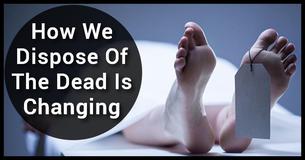 In The Future, You Might Not Be Buried Or Cremated After You Die In The Future, You Might Not Be Buried Or Cremated After You Die