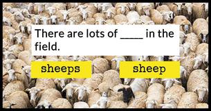 This Plurals Test Is Driving The Internet Crazy. This Plurals Test Is Driving The Internet Crazy.