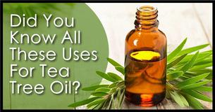 7 Creative Ways To Use Tea Tree Oil That You Didn't Know About 7 Creative Ways To Use Tea Tree Oil That You Didn't Know About