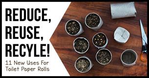 11 Hacks To Reuse Toilet Paper Rolls 11 Hacks To Reuse Toilet Paper Rolls