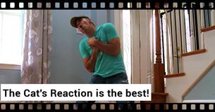 Man Fakes His Own Death To See How His Beloved Cat Would React. Best Reaction Ever Man Fakes His Own Death To See How His Beloved Cat Would React. Best Reaction Ever