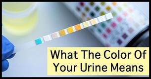 What The Color Of Your Urine Says About Your Health What The Color Of Your Urine Says About Your Health
