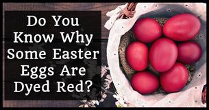 Where Did The Easter Bunny Come From? 10 Little-Known Facts About Easter Where Did The Easter Bunny Come From? 10 Little-Known Facts About Easter