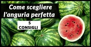 5 Consigli Che Ti Aiuteranno A Scegliere l'Anguria Perfetta Ogni Volta 5 Consigli Che Ti Aiuteranno A Scegliere l'Anguria Perfetta Ogni Volta