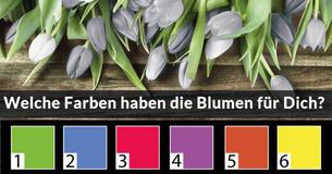 Welcher Valentinstags Blumenstrauss bist Du? Welcher Valentinstags Blumenstrauss bist Du?