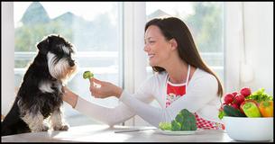 The 11 Best and Healthiest Human Foods for Your Dog The 11 Best and Healthiest Human Foods for Your Dog