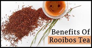Benefits Of Rooibos Tea (And How It Aids Weight Loss) Benefits Of Rooibos Tea (And How It Aids Weight Loss)
