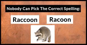 Nobody Can Score At Least 15/20 In This Confusing Spelling Drill Nobody Can Score At Least 15/20 In This Confusing Spelling Drill