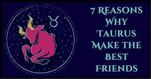 Totally Taurus (7 Reasons Why You Should Befriend a Taurus) Totally Taurus (7 Reasons Why You Should Befriend a Taurus)