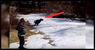 Family Takes Black Lab Out In Snow, Burst Out Laughing When They See His Hilarious New Hobby Family Takes Black Lab Out In Snow, Burst Out Laughing When They See His Hilarious New Hobby