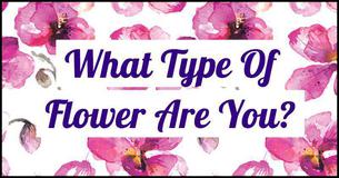 What Type of Flower Are You? What Type of Flower Are You?