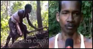 Indian Man Carves Road Through Hills So Children Can Attend School Indian Man Carves Road Through Hills So Children Can Attend School