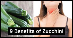 9 Benefits And Uses Of Zucchini 9 Benefits And Uses Of Zucchini