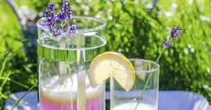 Having a headache? Tackle it with miracle drink Lavender Lemonade Having a headache? Tackle it with miracle drink Lavender Lemonade
