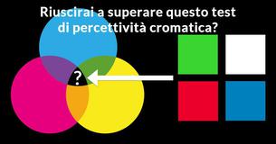 Riuscirai a superare questo test di percettività cromatica? Riuscirai a superare questo test di percettività cromatica?