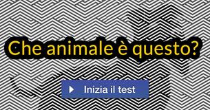 Solo una piccola percentuale di persone riesce a riconoscere queste immagini! Tu ci riuscirai? Solo una piccola percentuale di persone riesce a riconoscere queste immagini! Tu ci riuscirai?