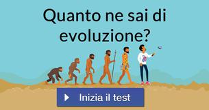 Quanto ne sai di evoluzione? Quanto ne sai di evoluzione?