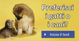 Preferisci i gatti o i cani? Preferisci i gatti o i cani?
