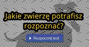 Tylko niski procent ludności potrafi rozpoznać te ukryte obrazy! Czy Ty również? Tylko niski procent ludności potrafi rozpoznać te ukryte obrazy! Czy Ty również?