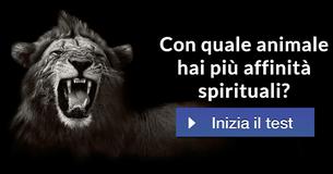 Con quale animale hai più affinità spirituali? Con quale animale hai più affinità spirituali?