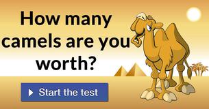 How many camels are you worth? How many camels are you worth?