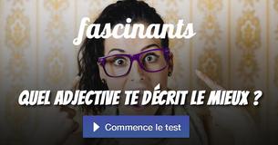 Quel adjectif te décrit le mieux ? Quel adjectif te décrit le mieux ?