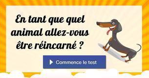 En tant que quel animal allez-vous être réincarné ? En tant que quel animal allez-vous être réincarné ?
