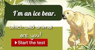 Which wild animal are you? Which wild animal are you?