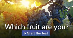 Which fruit are you? Which fruit are you?