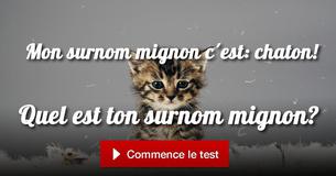 Quel est ton surnom mignon? Quel est ton surnom mignon?