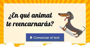¿En qué animal te reencarnarás? ¿En qué animal te reencarnarás?