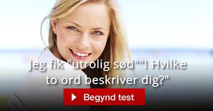 Hvilke to ord beskriver dig? Hvilke to ord beskriver dig?