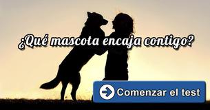 ¿Qué mascota encaja contigo? ¿Qué mascota encaja contigo?